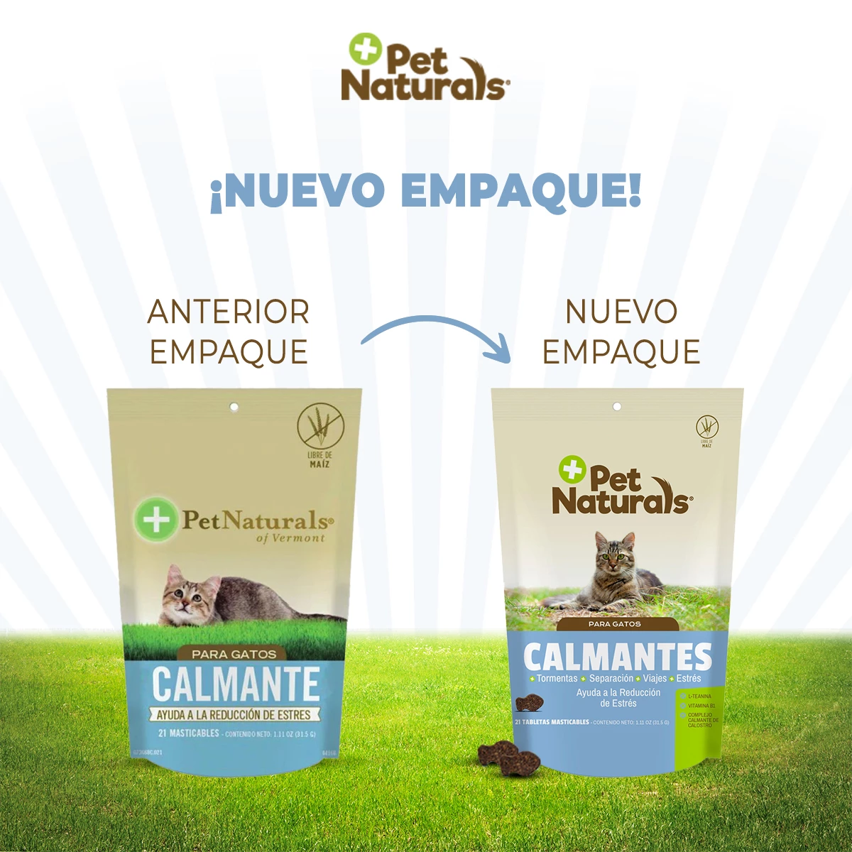 Pet Naturals Calmantes Naturales Masticables Para Gato, 30 Piezas 3 Pet Naturals Calmantes Naturales Masticables Para Gato, 30 Piezas - Image 3