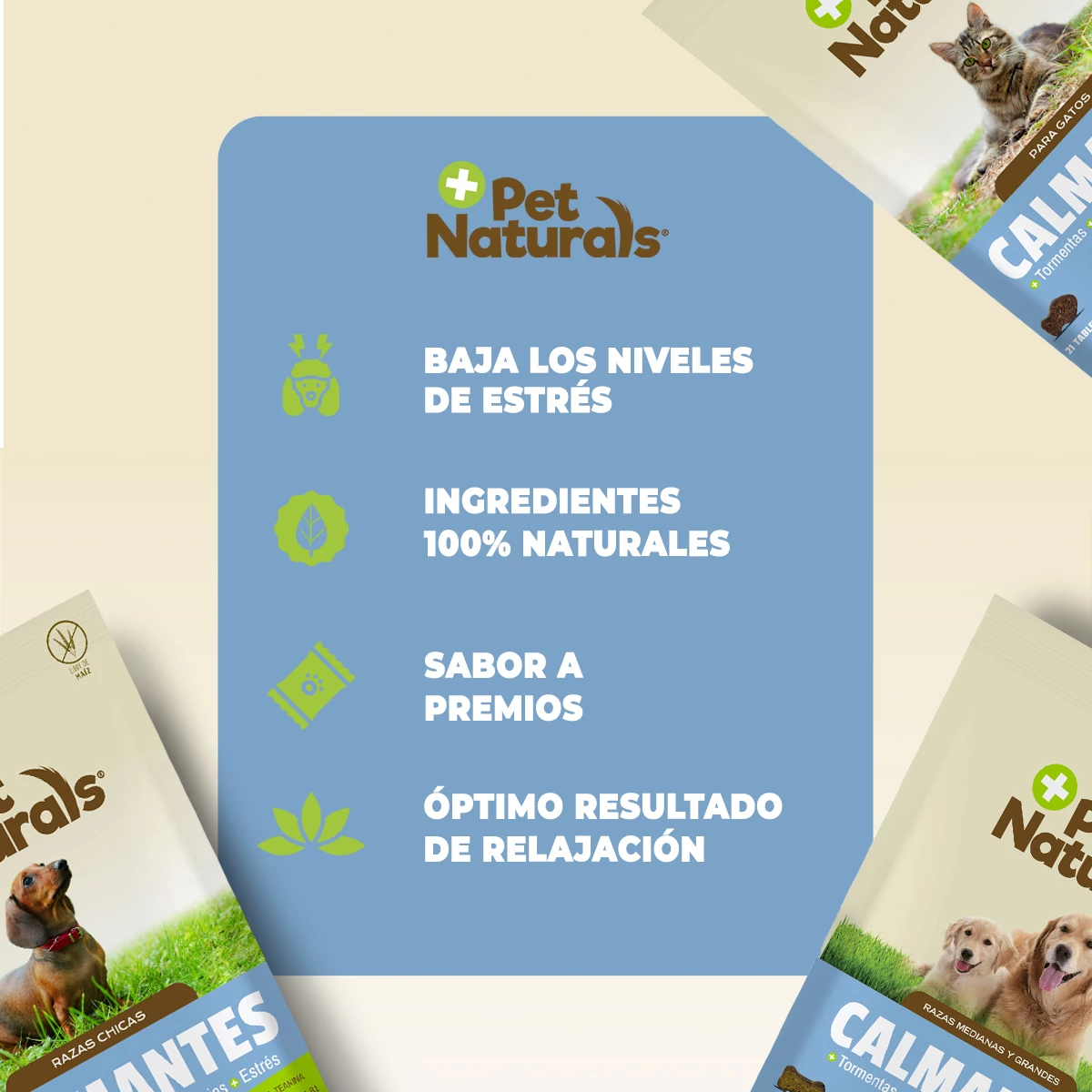 Pet Naturals Calmantes Naturales Masticables Para Gato, 30 Piezas 5 Pet Naturals Calmantes Naturales Masticables Para Gato, 30 Piezas - Image 5