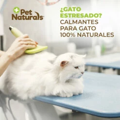 Pet Naturals Calmantes Naturales Masticables Para Gato, 30 Piezas 12 Pet Naturals Calmantes Naturales Masticables Para Gato, 30 Piezas -Tropiclean Shop 1200ftw 115353 5