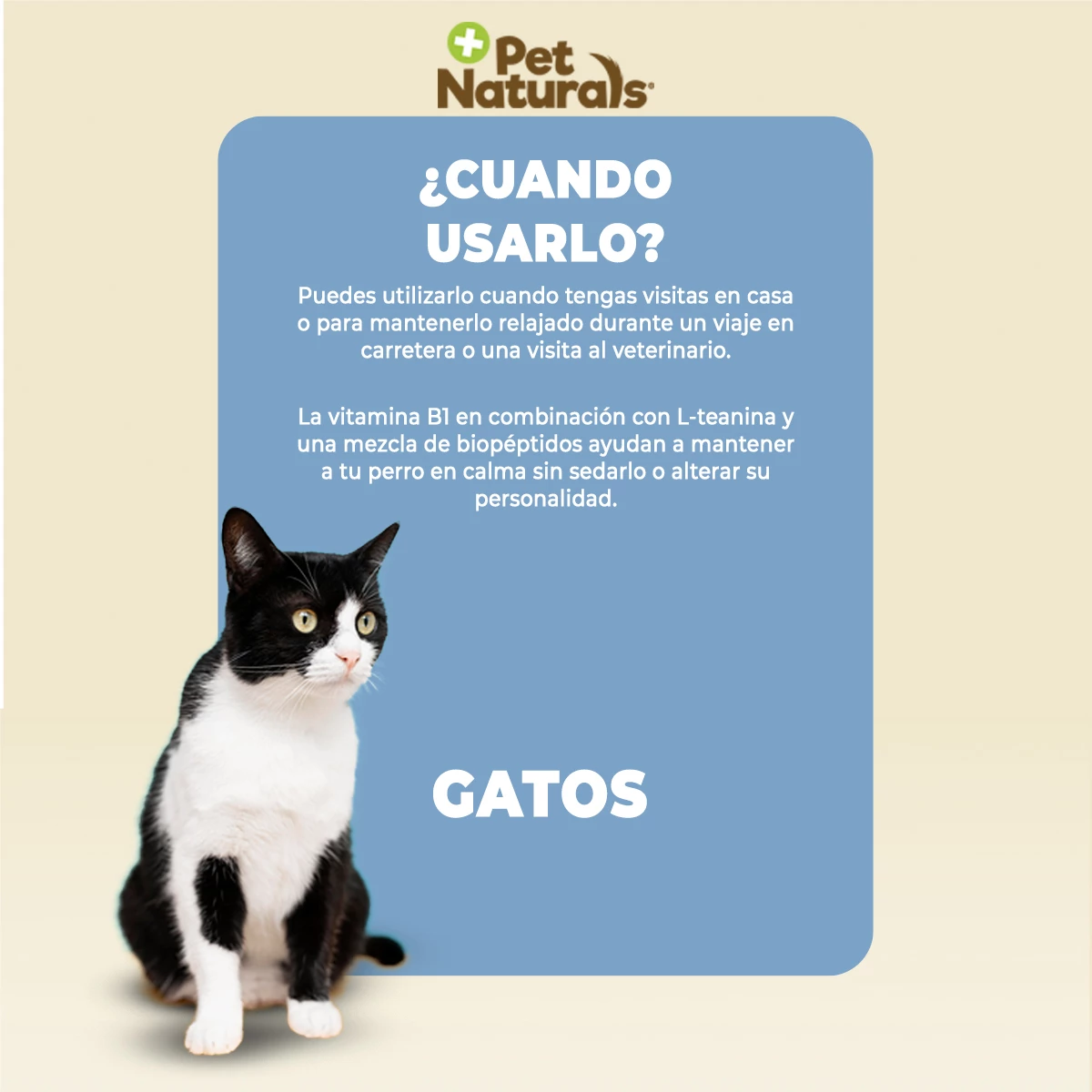 Pet Naturals Calmantes Naturales Masticables Para Gato, 30 Piezas 7 Pet Naturals Calmantes Naturales Masticables Para Gato, 30 Piezas - Image 7