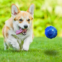 Nerf Paquete Con Dos Pelotas De Tennis Para Perro -Tropiclean Shop 1200ftw 127797 2