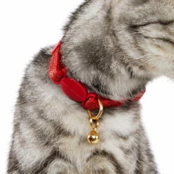 Merry Makings Collar Rojo Brillante Para Gato, Unitalla 10 Merry Makings Collar Rojo Brillante Para Gato, Unitalla -Tropiclean Shop 1200ftw 132809 4