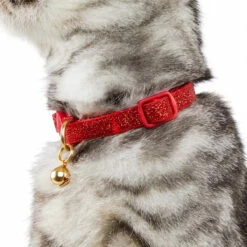 Merry Makings Collar Rojo Brillante Para Gato, Unitalla 11 Merry Makings Collar Rojo Brillante Para Gato, Unitalla -Tropiclean Shop 1200ftw 132809 5