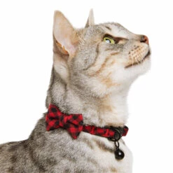 Merry Makings Collar Cuadros Rojos Para Gato, Chico/Mediano 13 Merry Makings Collar Cuadros Rojos Para Gato, Chico/Mediano -Tropiclean Shop 1200ftw 136232 6