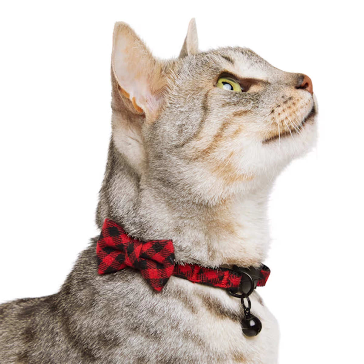 Merry Makings Collar Cuadros Rojos Para Gato, Chico/Mediano 7 Merry Makings Collar Cuadros Rojos Para Gato, Chico/Mediano - Image 7