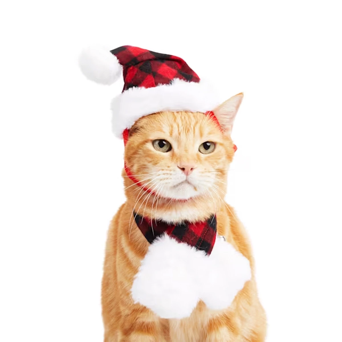 Merry Makings Set Bufanda Y Gorro Para Gato, Chico/Mediano 2 Merry Makings Set Bufanda Y Gorro Para Gato, Chico/Mediano - Image 2