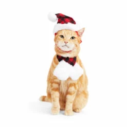 Merry Makings Set Bufanda Y Gorro Para Gato, Chico/Mediano