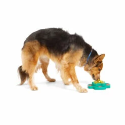 Merry Makings Juguete Interactivo Tipo Árbol Para Perro, Unitalla 11 Merry Makings Juguete Interactivo Tipo Árbol Para Perro, Unitalla -Tropiclean Shop 1200ftw 139899 4