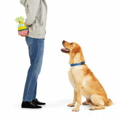 Merry Makings Peluche Con Diseño De Piña Navideña Para Perro, Grande 10 Merry Makings Peluche Con Diseño De Piña Navideña Para Perro, Grande -Tropiclean Shop 1200ftw 139917 4