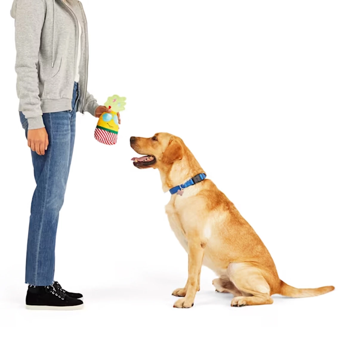 Merry Makings Peluche Con Diseño De Piña Navideña Para Perro, Grande 6 Merry Makings Peluche Con Diseño De Piña Navideña Para Perro, Grande - Image 6