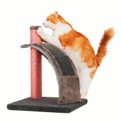 EveryYay Poste Rascador Con Masajeador Curveado Para Gato, Gris 11 EveryYay Poste Rascador Con Masajeador Curveado Para Gato, Gris -Tropiclean Shop 1200ftw 142228 3