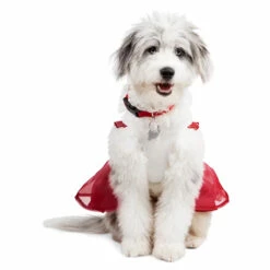 Merry Makings Vestido De Santa Baby Para Perro, Mediano