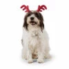 Merry Makings Diadema Navideña En Forma De Cuernos De Reno Para Perro, Grande / X-Grande