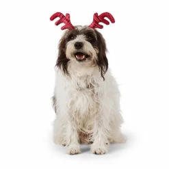 Merry Makings Diadema Navideña En Forma De Cuernos De Reno Para Perro, Grande / X-Grande