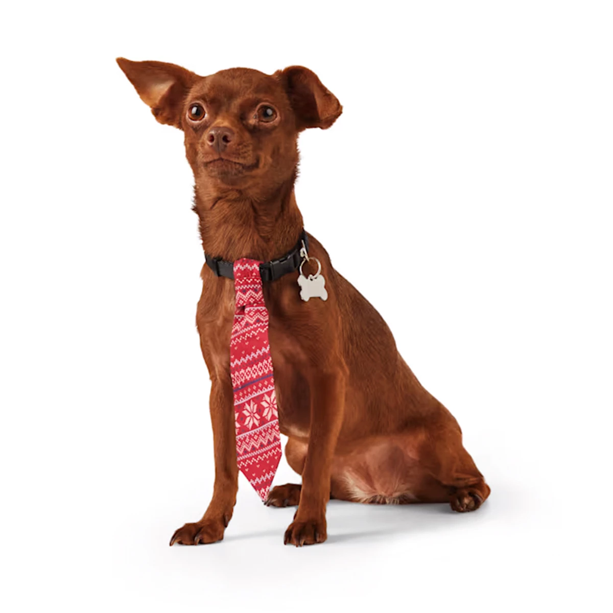 Merry Makings Paquete De 2 Corbatitas Para Perro, Unitalla 2 Merry Makings Paquete De 2 Corbatitas Para Perro, Unitalla - Image 2