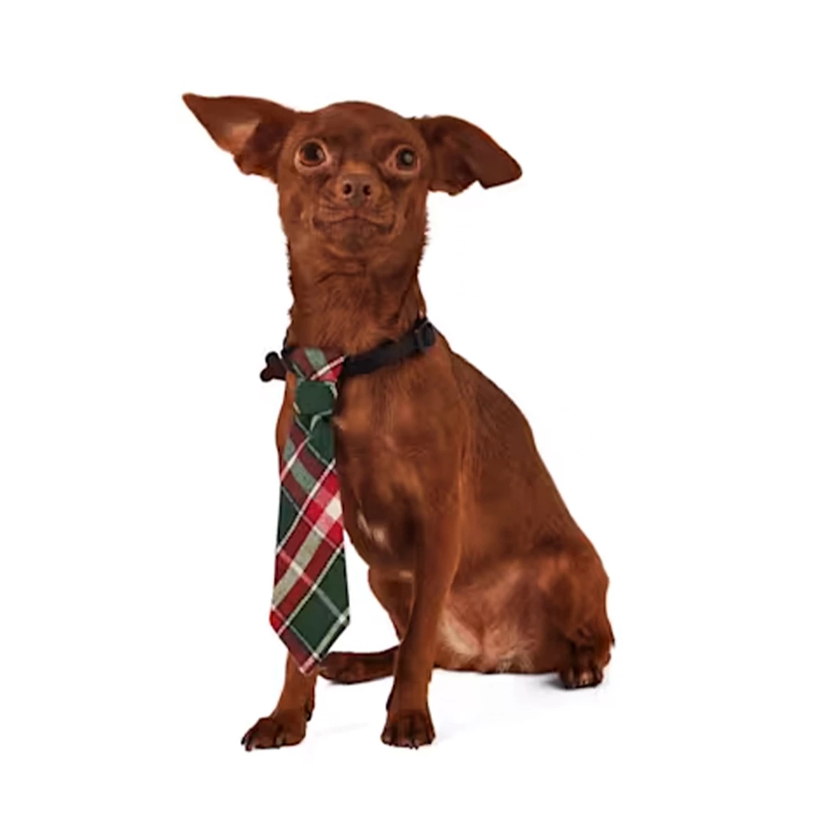 Merry Makings Paquete De 2 Corbatitas Para Perro, Unitalla 3 Merry Makings Paquete De 2 Corbatitas Para Perro, Unitalla - Image 3