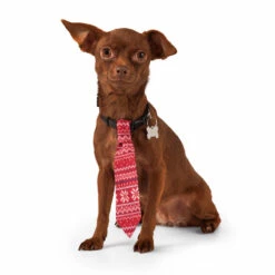 Merry Makings Paquete De 2 Corbatitas Para Perro, Unitalla