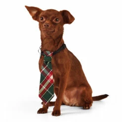 Merry Makings Paquete De 2 Corbatitas Para Perro, Unitalla 10 Merry Makings Paquete De 2 Corbatitas Para Perro, Unitalla -Tropiclean Shop 1200ftw 142379 3