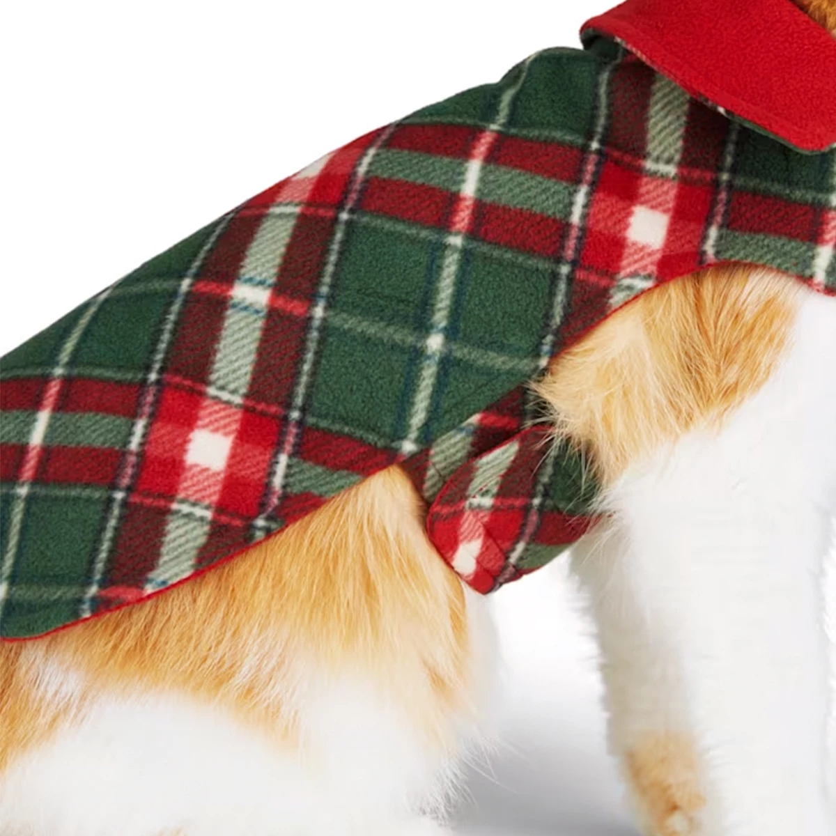 Merry Makings Capa De Cuadros Verdes Para Gato, X-Chico 4 Merry Makings Capa De Cuadros Verdes Para Gato, X-Chico - Image 4