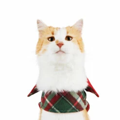 Merry Makings Capa De Cuadros Verdes Para Gato, X-Chico 12 Merry Makings Capa De Cuadros Verdes Para Gato, X-Chico -Tropiclean Shop 1200ftw 142394 4