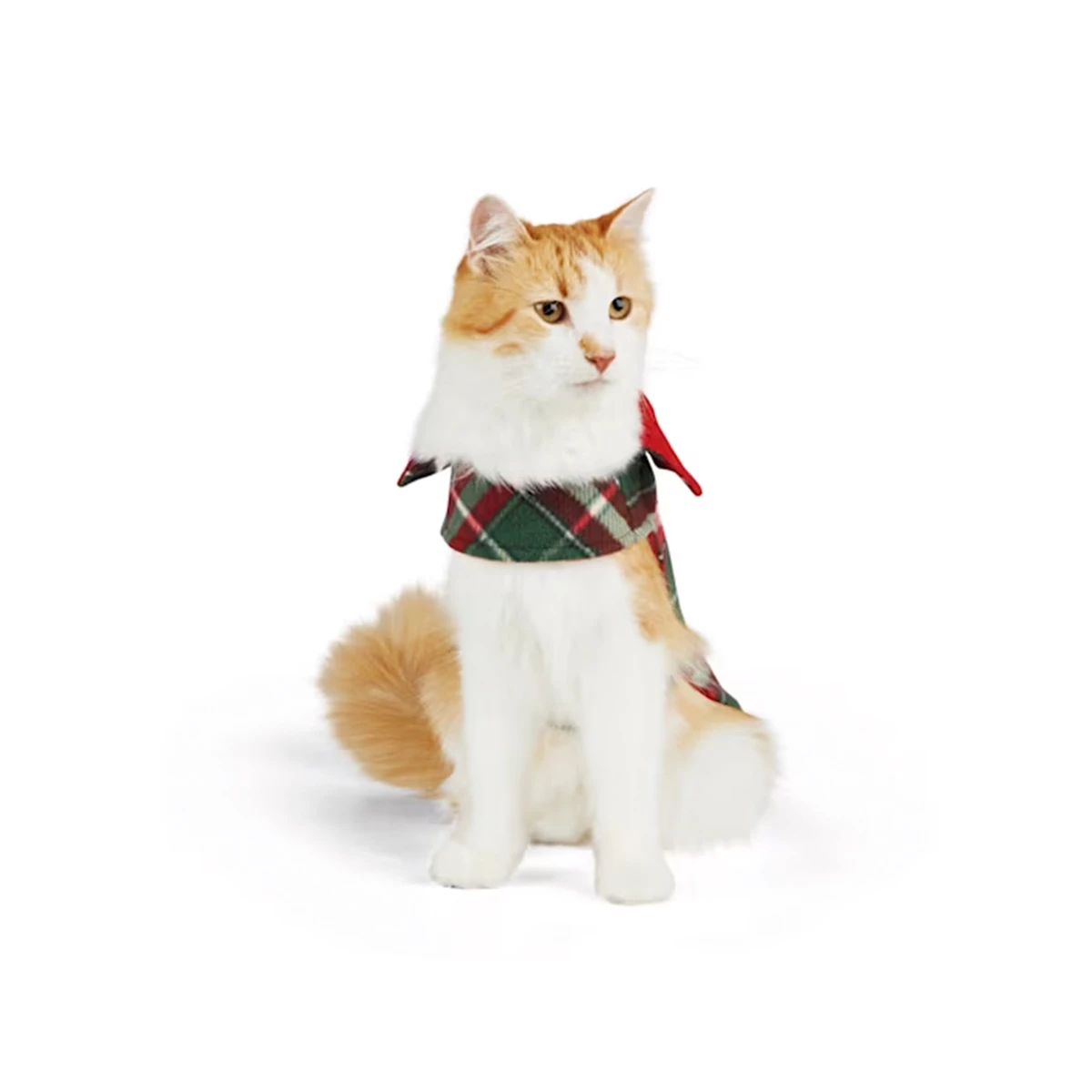 Merry Makings Capa De Cuadros Verdes Para Gato, X-Chico 1 Merry Makings Capa De Cuadros Verdes Para Gato, X-Chico