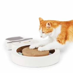 Merry Makings Rascador En Forma De Snowman Con Gorro Para Gato, Unitalla 11 Merry Makings Rascador En Forma De Snowman Con Gorro Para Gato, Unitalla -Tropiclean Shop 1200ftw 142403 4