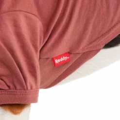 Reddy Fall Winter Playera Plisada Color Vino, X-Chico 14 Reddy Fall Winter Playera Plisada Color Vino, X-Chico -Tropiclean Shop 1200ftw 142486 5