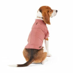 Reddy Fall Winter Camisa Con Botones Al Frente Color Vino, Chico -Tropiclean Shop 1200ftw 142490 2