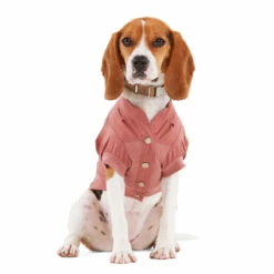 Reddy Fall Winter Camisa Con Botones Al Frente Color Vino, Chico