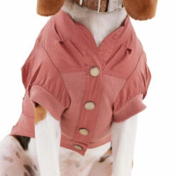 Reddy Fall Winter Camisa Con Botones Al Frente Color Vino, Chico -Tropiclean Shop 1200ftw 142490 3