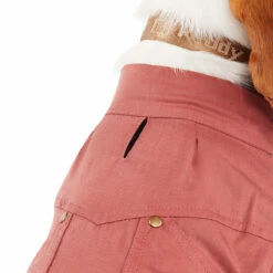 Reddy Fall Winter Camisa Con Botones Al Frente Color Vino, Chico -Tropiclean Shop 1200ftw 142490 5