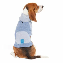 Reddy Fall Winter Sudadera Azul Con Bolsa, Chico 10 Reddy Fall Winter Sudadera Azul Con Bolsa, Chico -Tropiclean Shop 1200ftw 142504 2