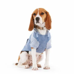 Reddy Fall Winter Sudadera Azul Con Bolsa, Chico