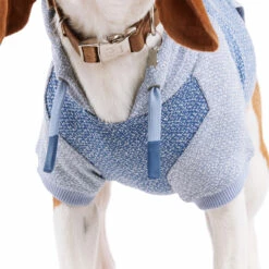 Reddy Fall Winter Sudadera Azul Con Bolsa, Chico 11 Reddy Fall Winter Sudadera Azul Con Bolsa, Chico -Tropiclean Shop 1200ftw 142504 3