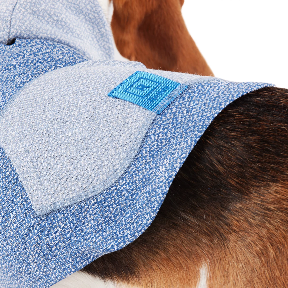 Reddy Fall Winter Sudadera Azul Con Bolsa, Chico 5 Reddy Fall Winter Sudadera Azul Con Bolsa, Chico - Image 5