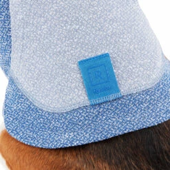 Reddy Fall Winter Sudadera Azul Con Bolsa, Chico 13 Reddy Fall Winter Sudadera Azul Con Bolsa, Chico -Tropiclean Shop 1200ftw 142504 5