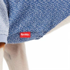 Reddy Fall Winter Sudadera Azul Con Bolsa, Chico 14 Reddy Fall Winter Sudadera Azul Con Bolsa, Chico -Tropiclean Shop 1200ftw 142504 6