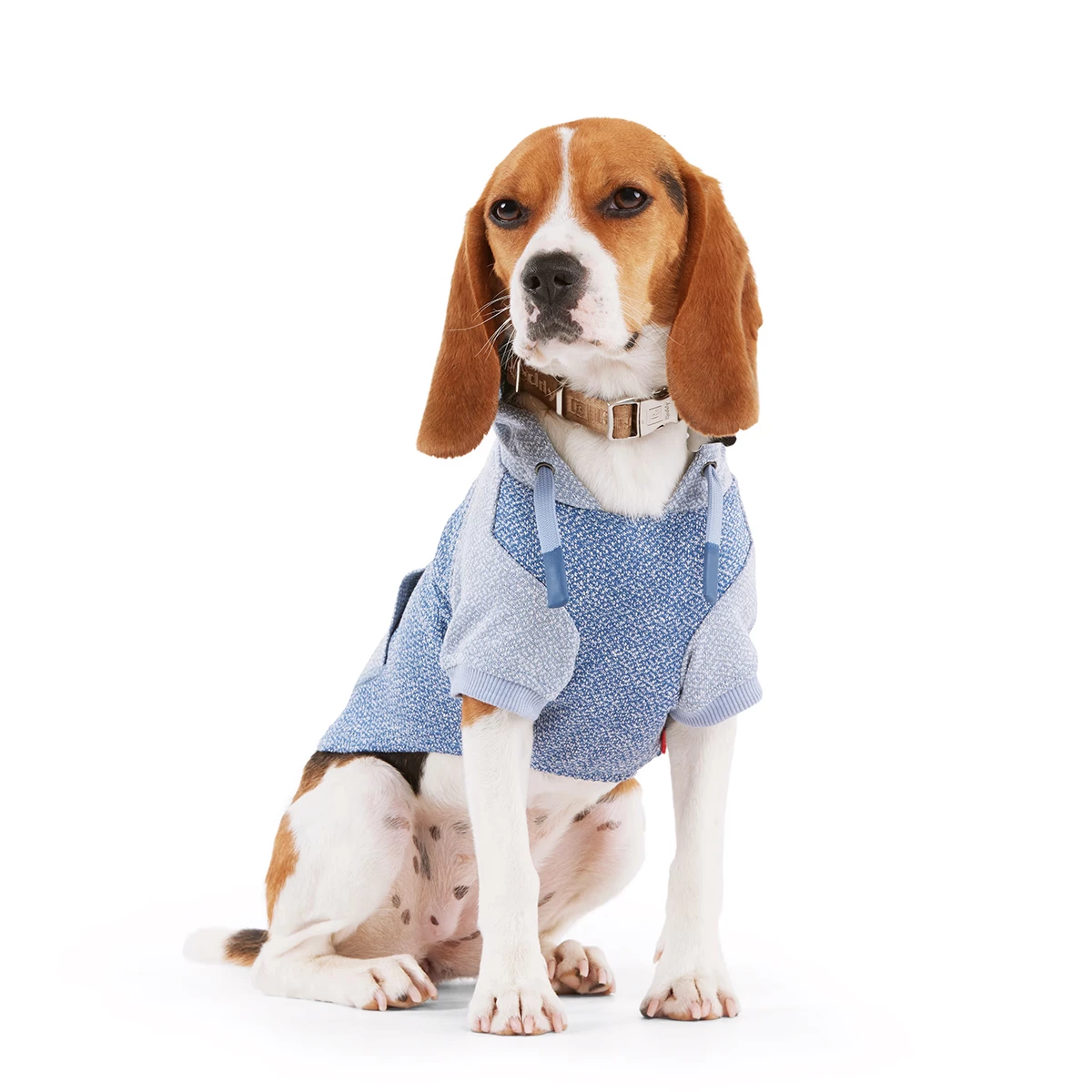 Reddy Fall Winter Sudadera Azul Con Bolsa, Chico 1 Reddy Fall Winter Sudadera Azul Con Bolsa, Chico