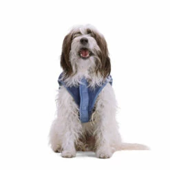 Youly Fall Winter Chaleco Bloque De Colores Azul Y Verde, Grande