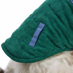 Youly Fall Winter Chaleco Bloque De Colores Azul Y Verde, Grande -Tropiclean Shop 1200ftw 142525 7