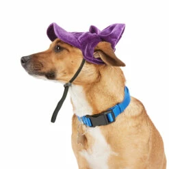 Youly Fall Winter Gorra Con Moño Color Morado, Mediano -Tropiclean Shop 1200ftw 142536 2