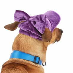 Youly Fall Winter Gorra Con Moño Color Morado, Mediano -Tropiclean Shop 1200ftw 142536 3