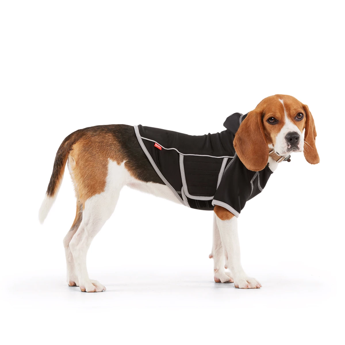 Reddy Fall Winter Sudadera Con Capucha Y Ajuste En El Cuerpo Color Negro, XXX-Grande 2 Reddy Fall Winter Sudadera Con Capucha Y Ajuste En El Cuerpo Color Negro, XXX-Grande - Image 2