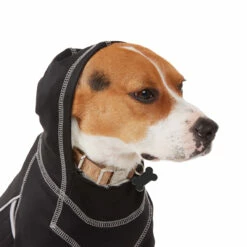 Reddy Fall Winter Sudadera Con Capucha Y Ajuste En El Cuerpo Color Negro, XXX-Grande 12 Reddy Fall Winter Sudadera Con Capucha Y Ajuste En El Cuerpo Color Negro, XXX-Grande -Tropiclean Shop 1200ftw 142548 3