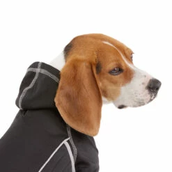 Reddy Fall Winter Sudadera Con Capucha Y Ajuste En El Cuerpo Color Negro, XXX-Grande 13 Reddy Fall Winter Sudadera Con Capucha Y Ajuste En El Cuerpo Color Negro, XXX-Grande -Tropiclean Shop 1200ftw 142548 4