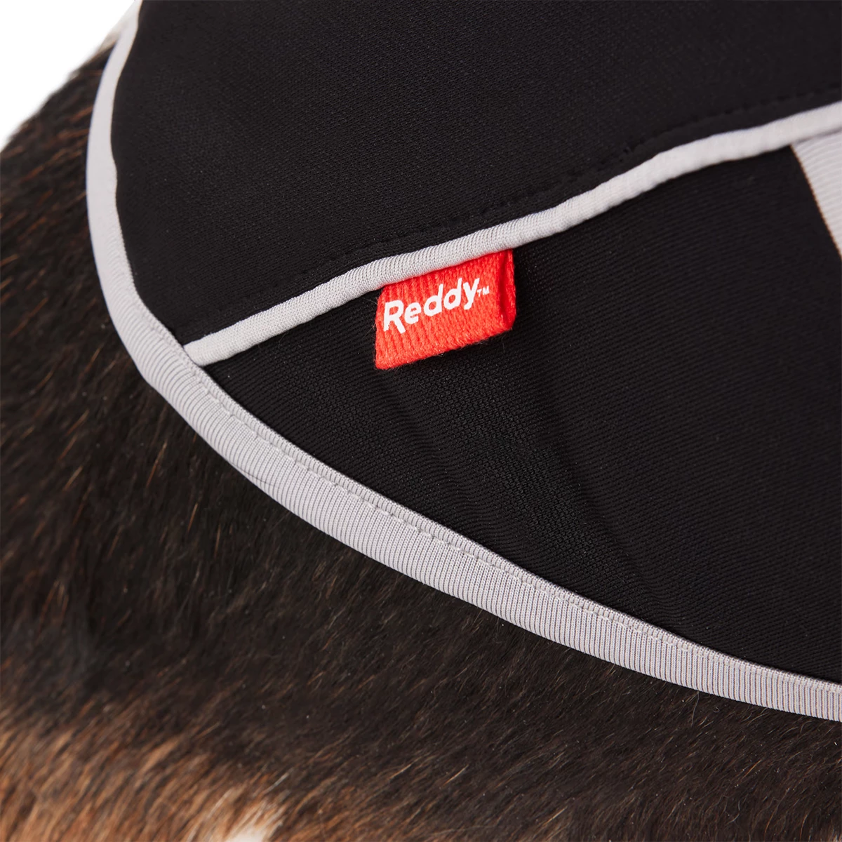 Reddy Fall Winter Sudadera Con Capucha Y Ajuste En El Cuerpo Color Negro, XXX-Grande 8 Reddy Fall Winter Sudadera Con Capucha Y Ajuste En El Cuerpo Color Negro, XXX-Grande - Image 8