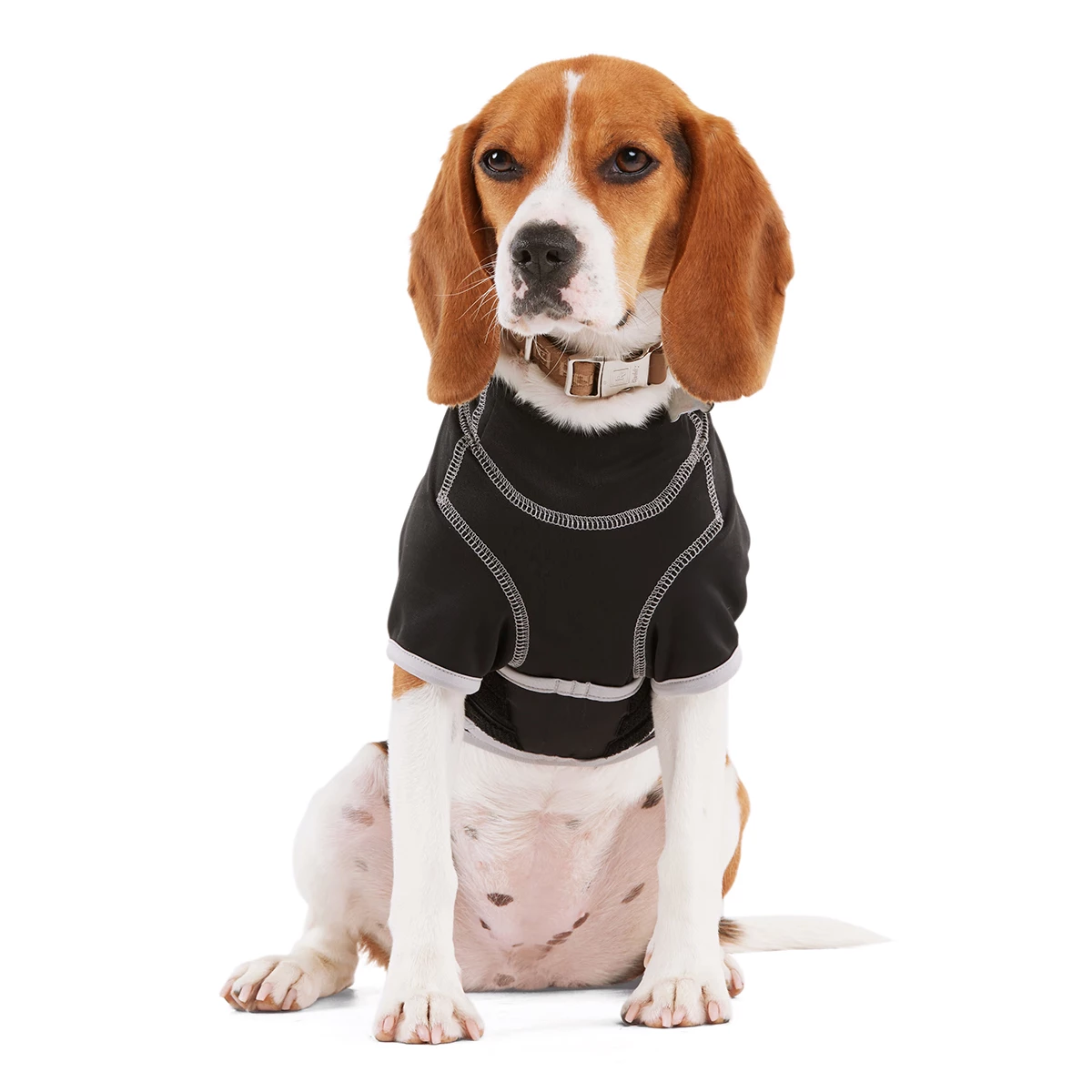 Reddy Fall Winter Sudadera Con Capucha Y Ajuste En El Cuerpo Color Negro, XXX-Grande 1 Reddy Fall Winter Sudadera Con Capucha Y Ajuste En El Cuerpo Color Negro, XXX-Grande