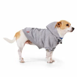 Reddy Fall Winter Sudadera Con Capucha, Bolsa Y Estampado Color Gris, Mediano -Tropiclean Shop 1200ftw 142551 2