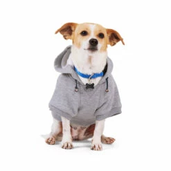 Reddy Fall Winter Sudadera Con Capucha, Bolsa Y Estampado Color Gris, Mediano