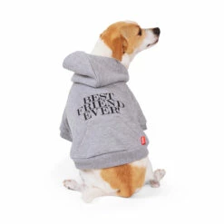 Reddy Fall Winter Sudadera Con Capucha, Bolsa Y Estampado Color Gris, Mediano -Tropiclean Shop 1200ftw 142551 3